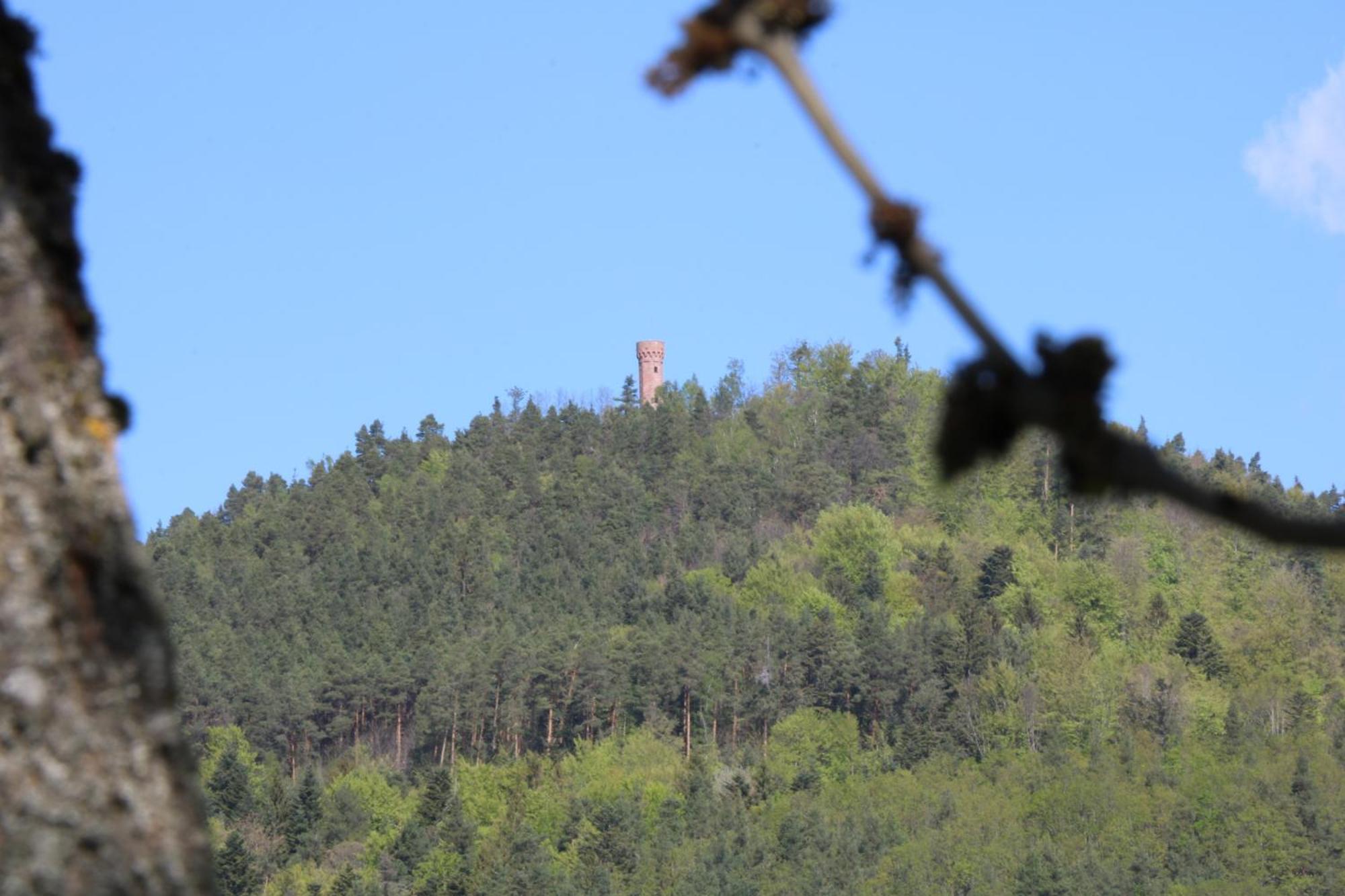 Chambres D'Hotes Les Ecrins オルベ エクステリア 写真